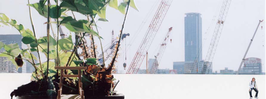 2008����W�S�N�y�C���g